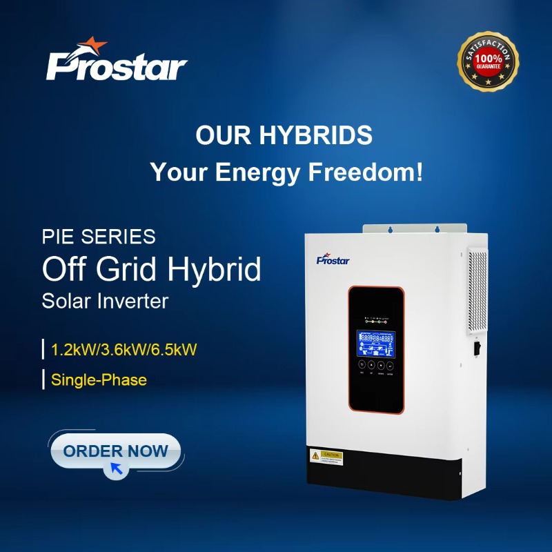 【2026】3.6kw 12V 24V 48V Pure S - Renewable Energy Us review and price